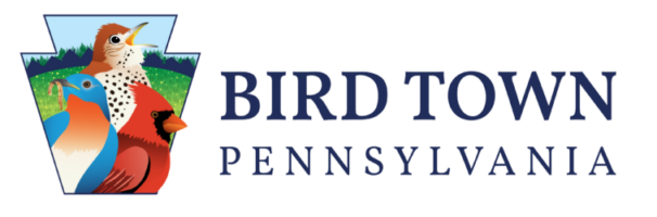 Bird Town Logo