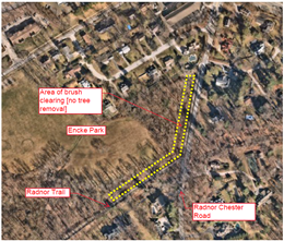 November 18-22, 2024: Brush Cutting Along the Radnor Trail and Radnor Chester Road