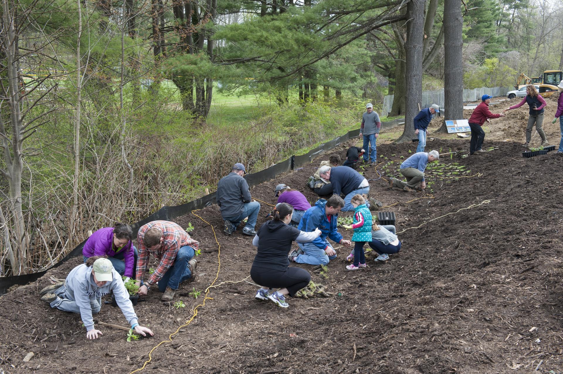 Rain Garden Planting 2