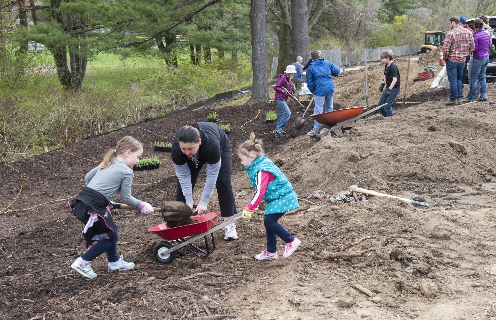 Rain Garden Planting 3